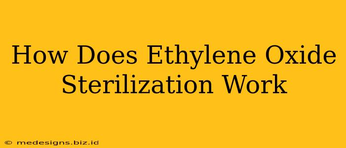 How Does Ethylene Oxide Sterilization Work
