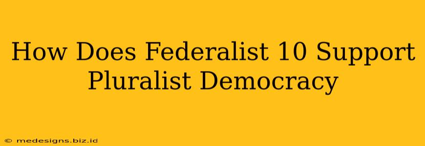 How Does Federalist 10 Support Pluralist Democracy
