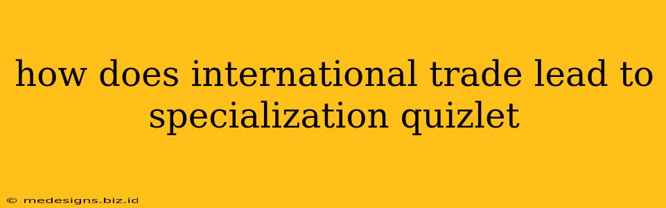 how does international trade lead to specialization quizlet