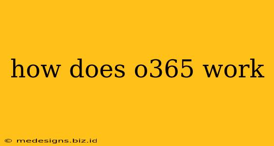 how does o365 work