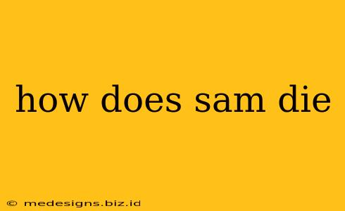 how does sam die
