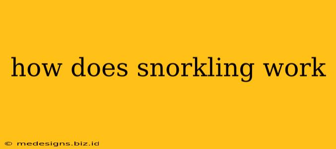 how does snorkling work