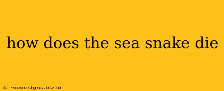 how does the sea snake die