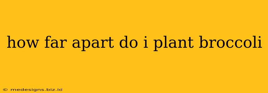 how far apart do i plant broccoli