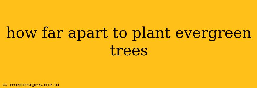 how far apart to plant evergreen trees