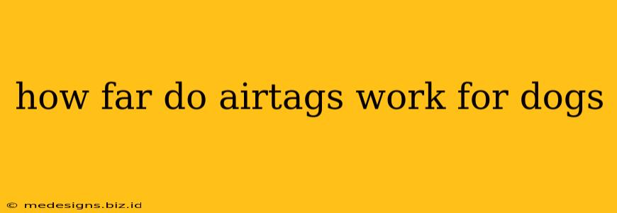 how far do airtags work for dogs