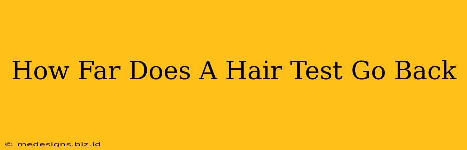 How Far Does A Hair Test Go Back