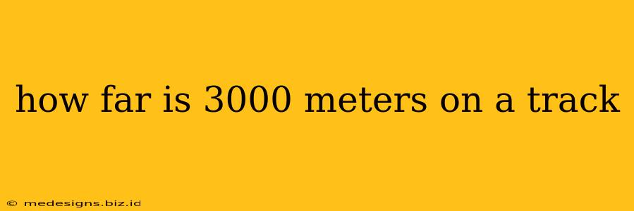how far is 3000 meters on a track