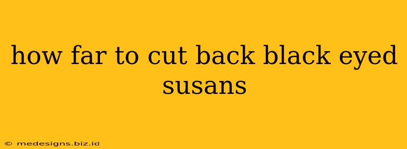 how far to cut back black eyed susans