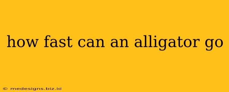 how fast can an alligator go