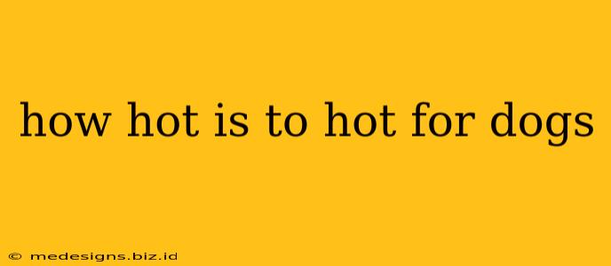 how hot is to hot for dogs