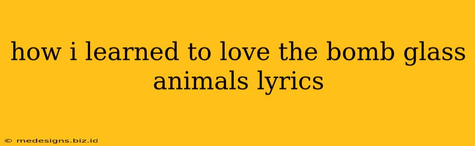 how i learned to love the bomb glass animals lyrics