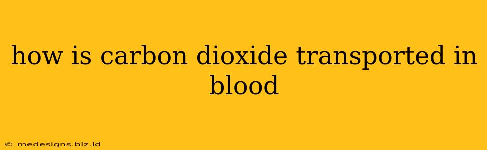 how is carbon dioxide transported in blood