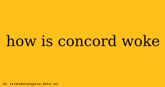 how is concord woke