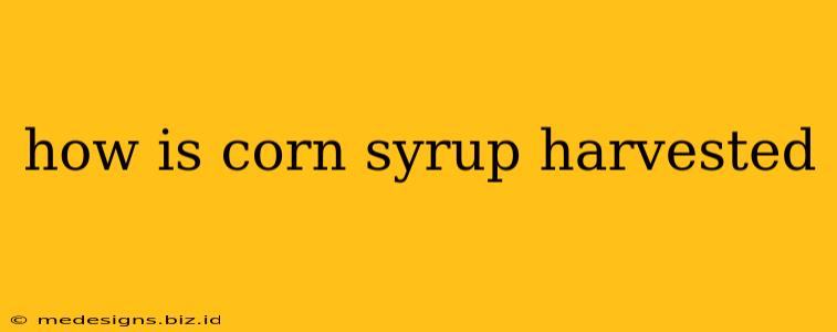how is corn syrup harvested