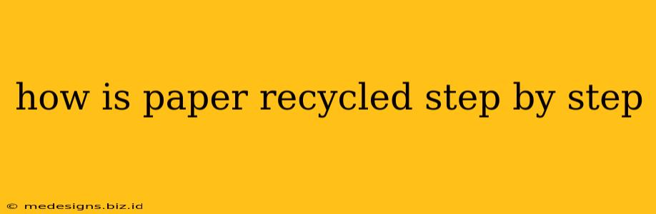 how is paper recycled step by step