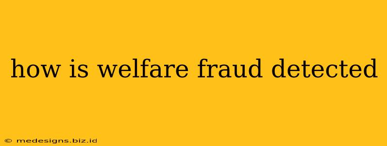 how is welfare fraud detected
