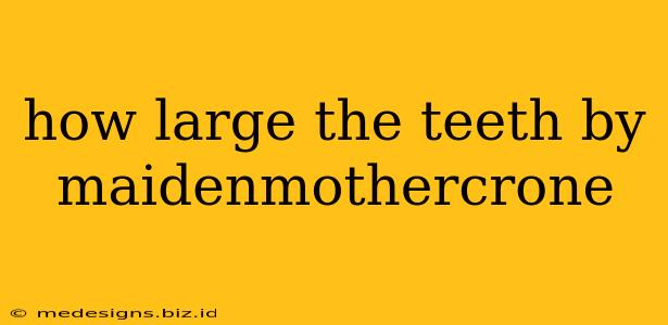 how large the teeth by maidenmothercrone