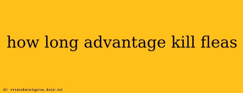 how long advantage kill fleas