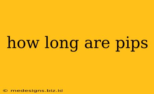 how long are pips