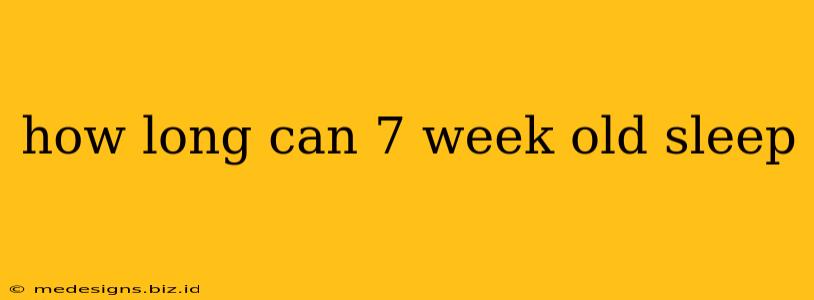 how long can 7 week old sleep