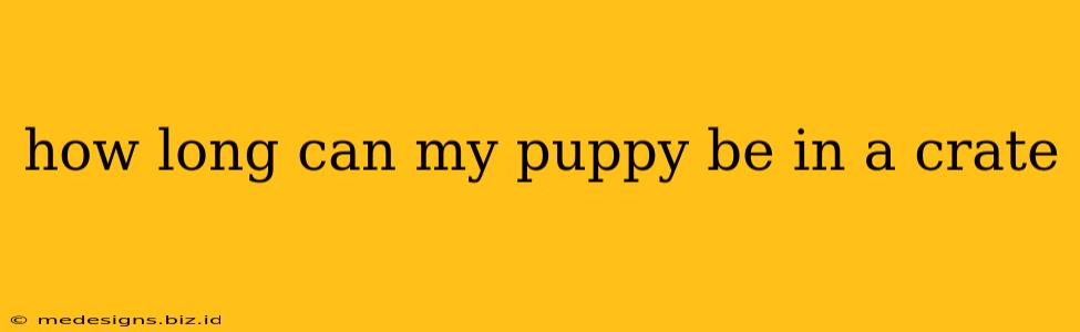 how long can my puppy be in a crate