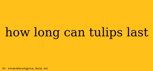how long can tulips last