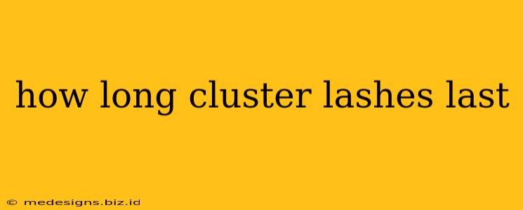 how long cluster lashes last