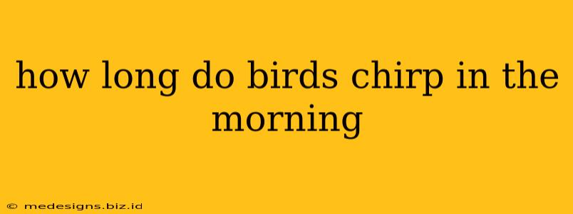 how long do birds chirp in the morning