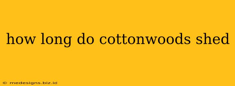 how long do cottonwoods shed