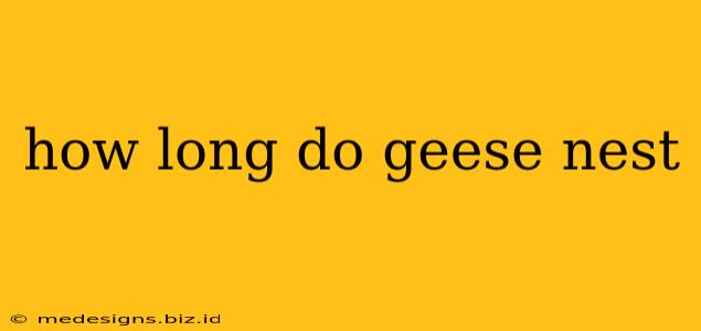 how long do geese nest