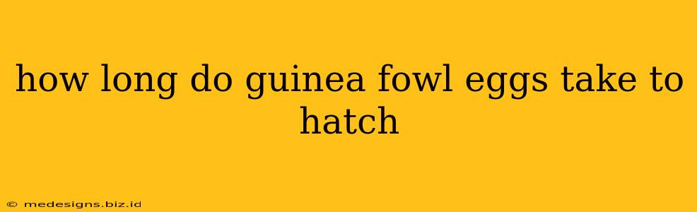how long do guinea fowl eggs take to hatch