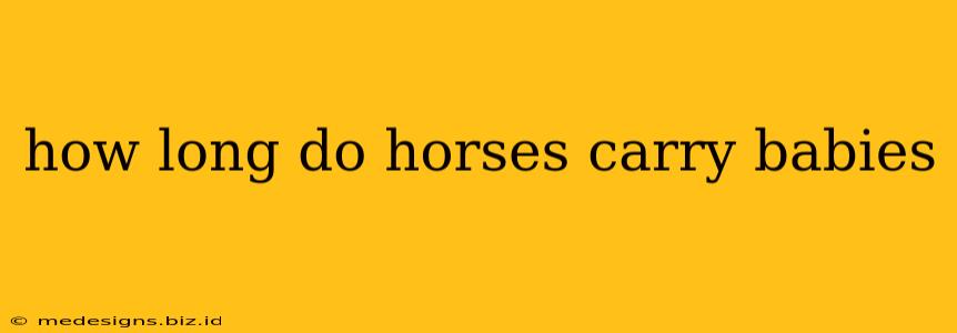 how long do horses carry babies