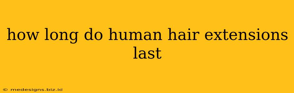 how long do human hair extensions last