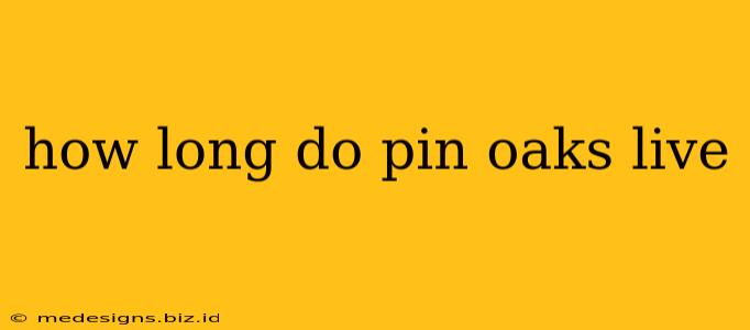 how long do pin oaks live
