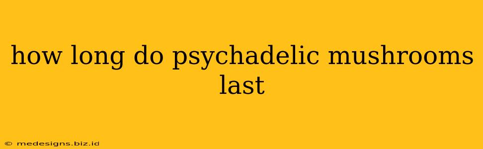 how long do psychadelic mushrooms last