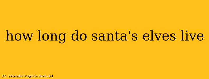 how long do santa's elves live