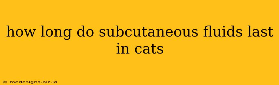 how long do subcutaneous fluids last in cats