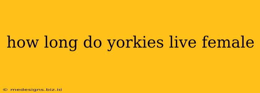 how long do yorkies live female