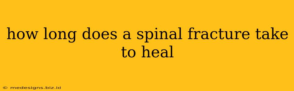 how long does a spinal fracture take to heal