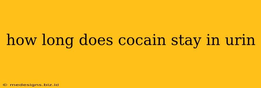 how long does cocain stay in urin