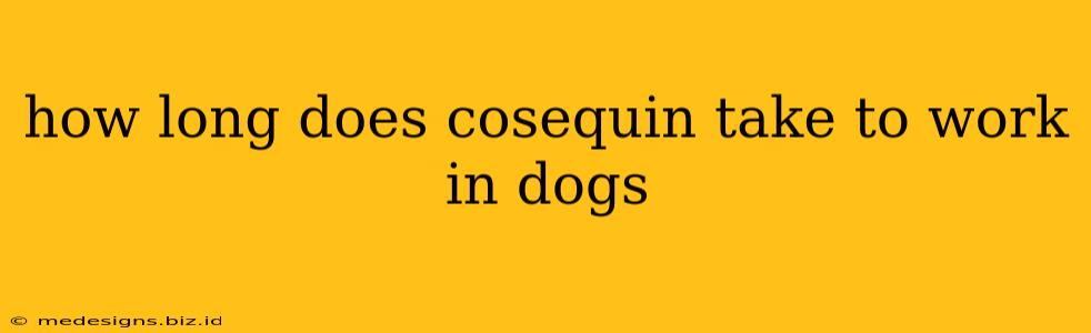 how long does cosequin take to work in dogs