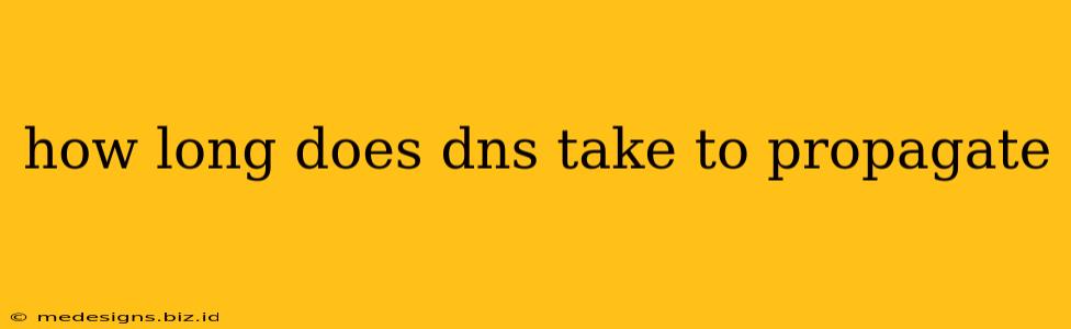 how long does dns take to propagate