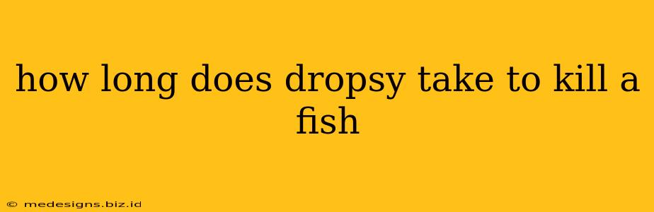 how long does dropsy take to kill a fish