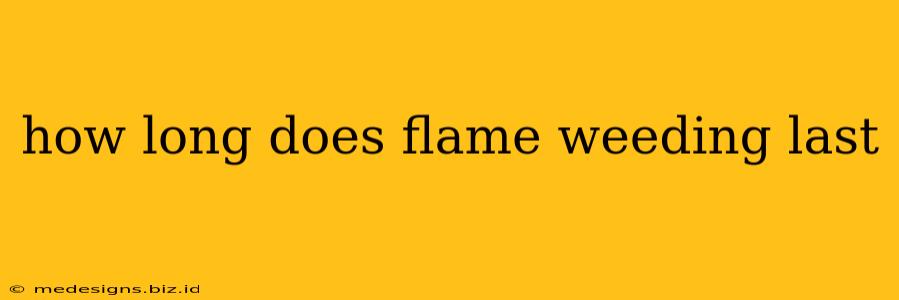 how long does flame weeding last