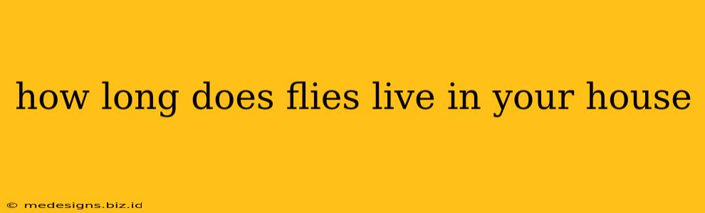 how long does flies live in your house