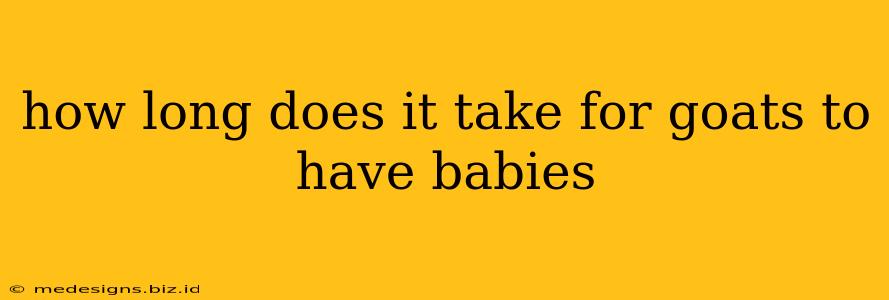 how long does it take for goats to have babies