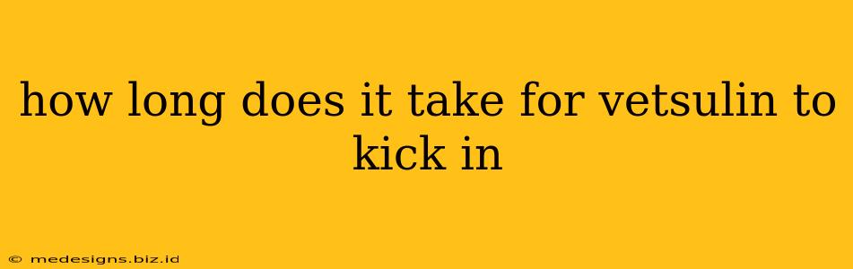 how long does it take for vetsulin to kick in