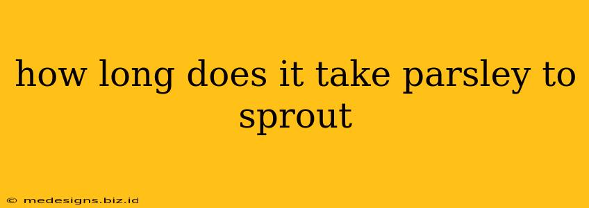 how long does it take parsley to sprout