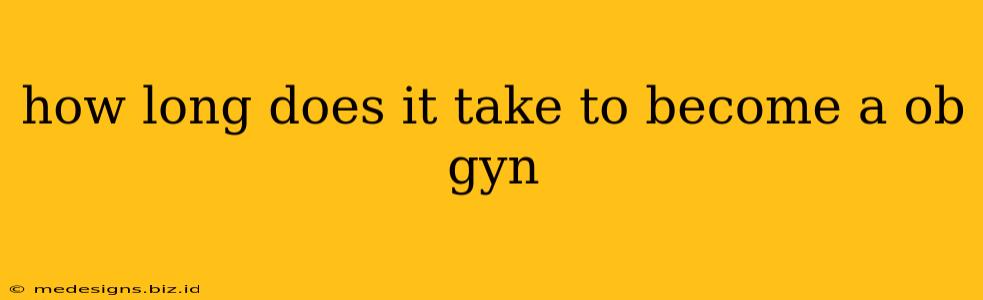 how long does it take to become a ob gyn